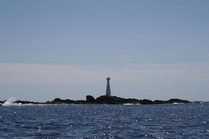 Formigas 078.jpg